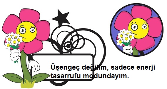 çeçekli komik resim.jpg